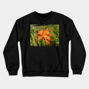 First Day Lily Bloom of the Season Crewneck Sweatshirt